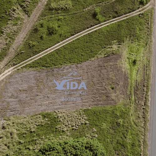 va (1)